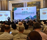 Affordable financing crucial for Vietnam’s net zero target 