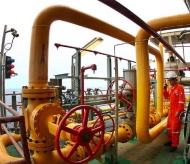 Vietnam in need of investment in oil industry but not at all cost: Lawmakers