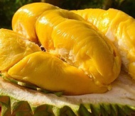 China imports Vietnamese durian after four years of negotiations 