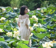 Unique yellow lotus pond in Hanoi’s suburbs 