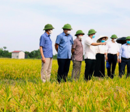 Hanoi strives to find markets for farm produce and specialties