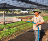 Hanoi records surge in agro-forestry-fishery export value   