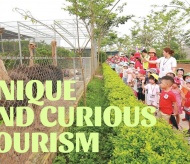 Unique and curious Phu Dong Thien Vuong tourism