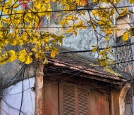 Hanoi autumn captivates people  