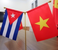 Vietnam-Cuba relations secure incentives: Ambassador  