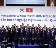 South Korea, Vietnam ready to boost tech cooperation