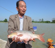 Hanoi promotes high-quality organic farming models