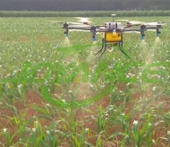 Hanoi promotes AI in agricultural production