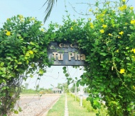 Con Chim: Rare poetic hamlet in Mekong Delta 