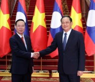 Vietnam offers Laos US$1M in president’s visit 