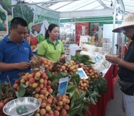 Hanoi cooperates with provinces for safe fruits and farm produce supply