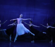 Vietnamese artists to perform Giselle ballet in August