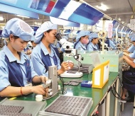 Over 200 foreign enterprises seek investment opportunities in Vietnam