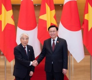 Lawmakers support upgrading of Vietnam-Japan relations 