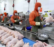 Hanoi promotes efficiency in industrial slaughterhouse operations