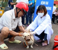 Vietnam urged to manage dog populations to end rabies-caused human deaths 