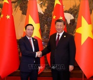 China supports strong and prosperous Vietnam: Xi Jinping