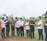 Vietnamese agricultural project supports livelihoods of Lao farmers