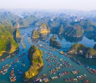 Haiphong's summer festival celebrates heritage of Ha Long Bay - Cat Ba Archipelago