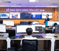 Vietnam’s commodity market remains attractive investment channels: Expert