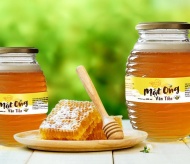 Vietnam’s honey is ready to make waves in global market