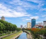 Red blossoms light up Hanoi's river