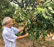 Cultivation area codes help standardize Hanoi’s farm exports