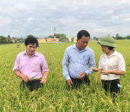  Hanoi expands supply chain model of agricultural product