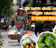 Rustic charm of Hanoi's street vendors: Timeless beauty