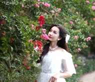 Charming Hanoi girls in blossoming crape myrtle flowers