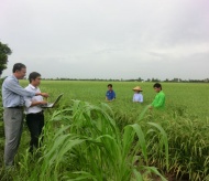 Australia’s support helps Vietnam promote sustainable agriculture  