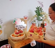 Tasting Californian peaches and nectarines in Hanoi, Ho Chi Minh City 