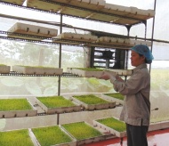 Hanoi to expand agricultural cooperatives for sustainable growth by 2030