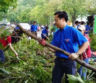 Blue shirts, green streets: Youth unite to restore Hanoi's greenery