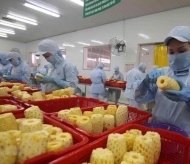 Vietnam’s 9-month fruit and veggie exports match last year's sales  