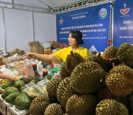 Connecting agricultural production and consumption networks in Hanoi 