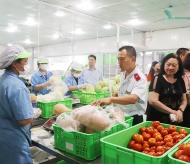 Hanoi intensifies check of agricultural and food quality