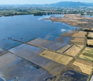 Hanoi supports farmers affected by Typhoon Yagi