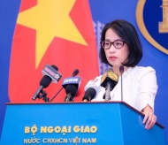 Vietnam condemns violence by Chinese authorities in Hoang Sa