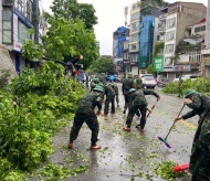 Hanoi to have no overlap between greenery and underground infrastructure 