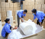 Global integration adds cultural value to Hanoi's craft villages