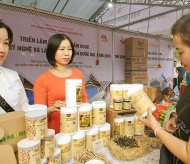 Quoc Oai hosts exhibition of OCOP products and handicrafts