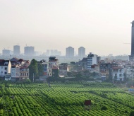 Capital Law 2024 enables Hanoi's sustainable agricultural growth