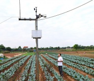 Hanoi's digital transformation: boosting agriculture efficiency