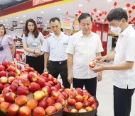  Hanoi controls fruit traders to ensure safety