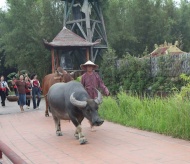 The Quintessence of Tonkin: Honoring traditional cultural values of northern Vietnam