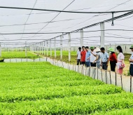 Vietnam prioritizes agriculture and renewable energy for access to green loans  