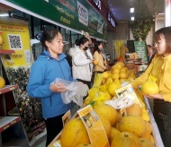 Hanoi's foreign trade turnover hits US$60.1bn in 2024