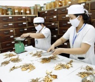 Hanoi accelerates traditional medicine development to enhance public healthcare