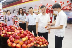  Hanoi controls fruit traders to ensure safety